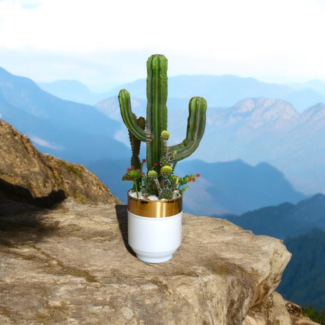 İthal yapay çöl kaktüs ve tereryum aranjmani 