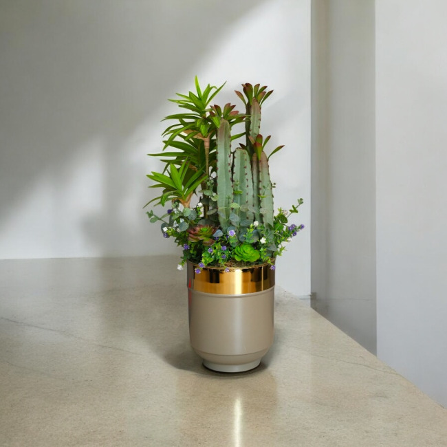 İthal 3 kaktüs ve yapay bitki aranjmani